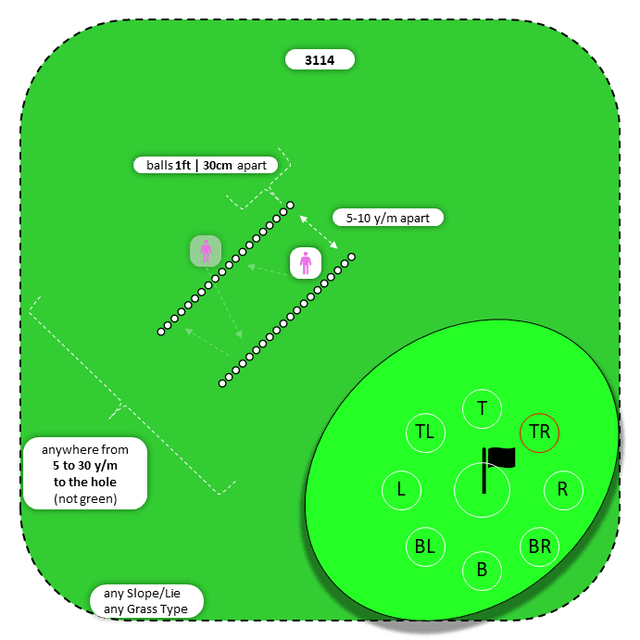 Diagram for Chip | Parallel Ball Lines | 9 Stop Zones