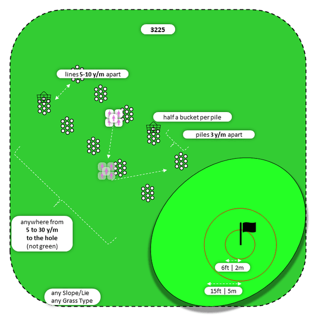 Diagram for Chip | Perpendicular Piles | Bullseye 2x