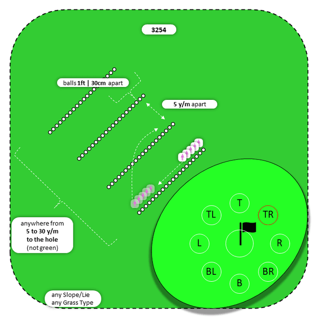 Diagram for Chip | Parallel Ball Lines | 9 Stop Zones