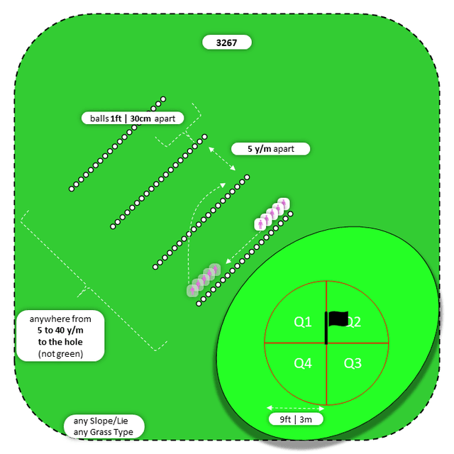 Diagram for Flop | Parallel Ball Lines | Quadrants