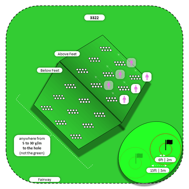 Diagram for Chip | Fairway | Above/Below Feet