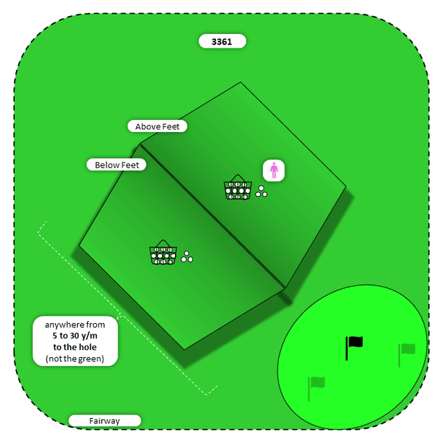 Diagram for Chip | Fairway | Above/Below Feet