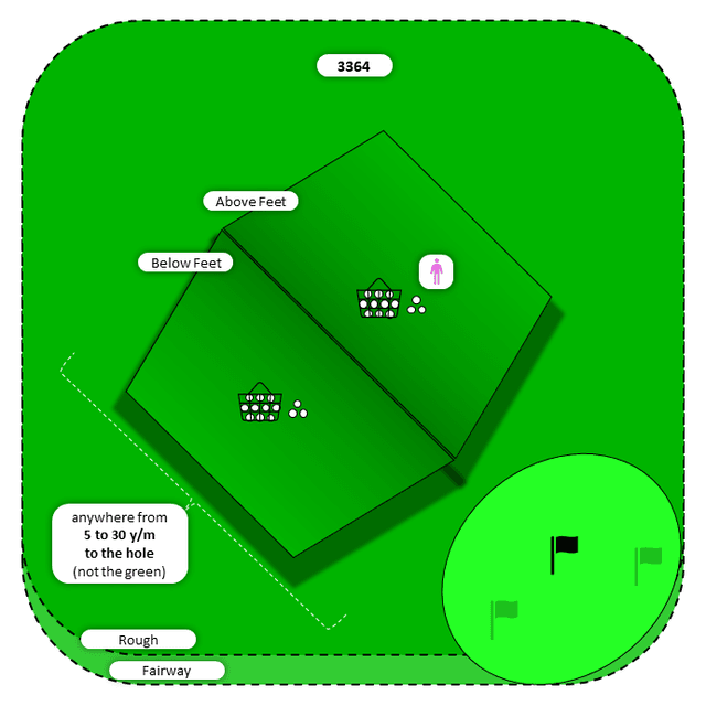 Diagram for Chip | Rough | Above/Below Feet