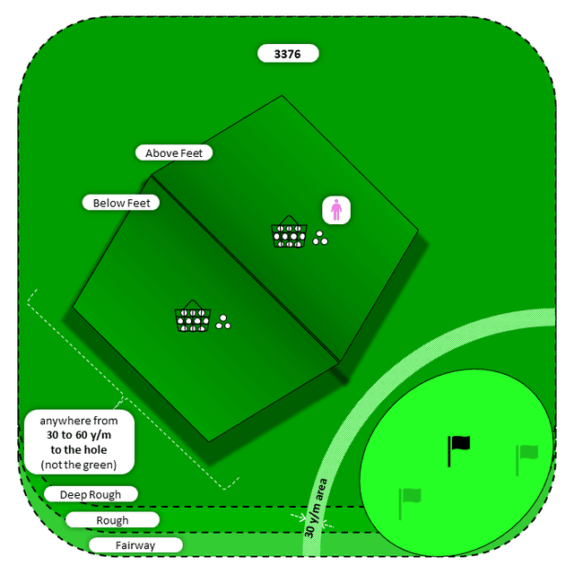 Diagram for Pitch | Deep Rough and Other | Above/Below Feet