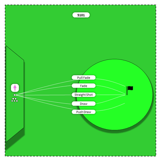 Diagram for Woods (Hy to 3W) | 5 Ball Flights Challenge